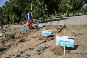 لزوم آموزش عملی موضوعات زیست‌محیطی به دانش‌آموزان